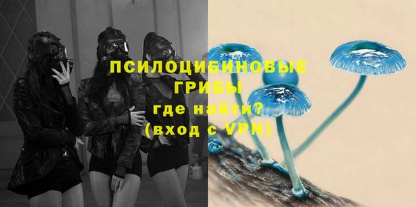 мяу мяу мука Алексин