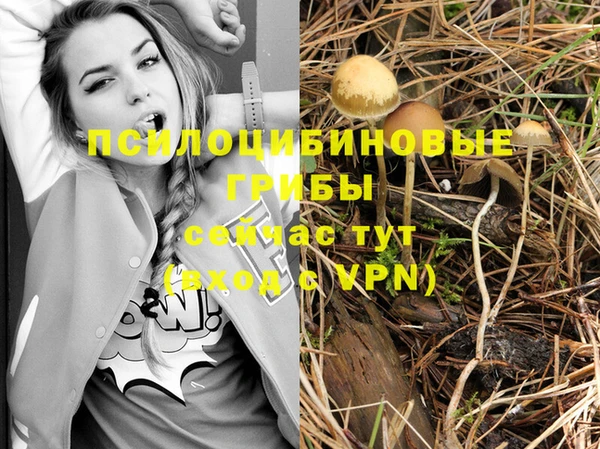 мяу мяу мука Алексин